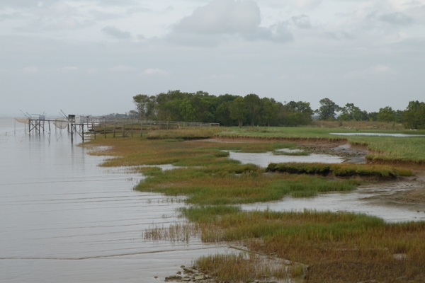 Saint-Ciers-sur-Gironde, octobre 2014 (c) Gra 