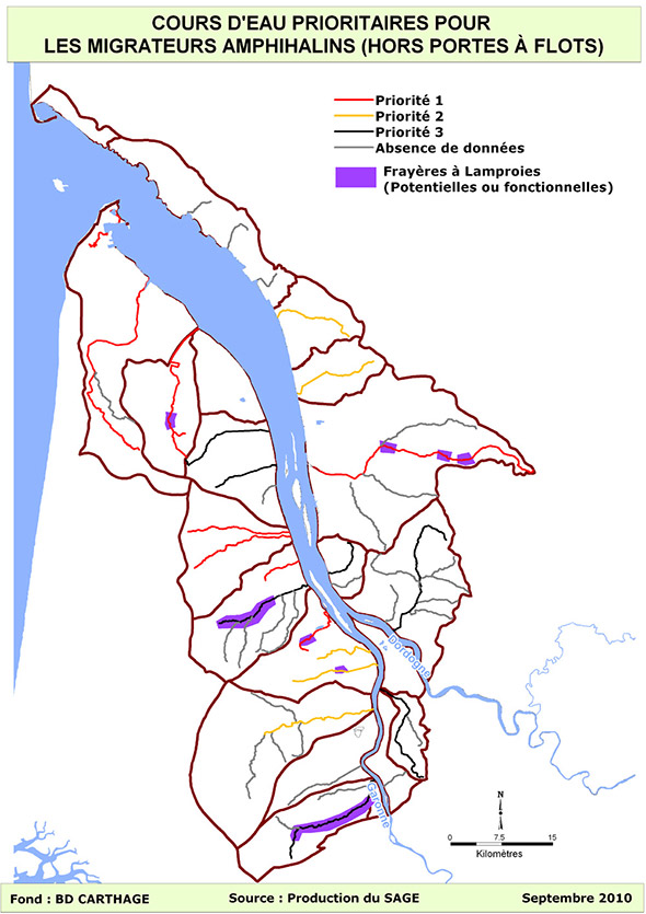 Cours d\'eau prioritaires pour les migrateurs amphihalins